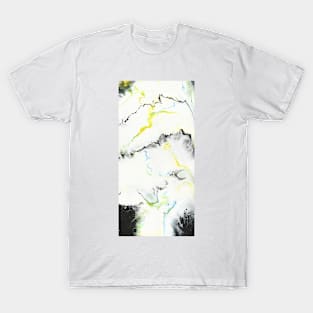 Abstraction 224 T-Shirt